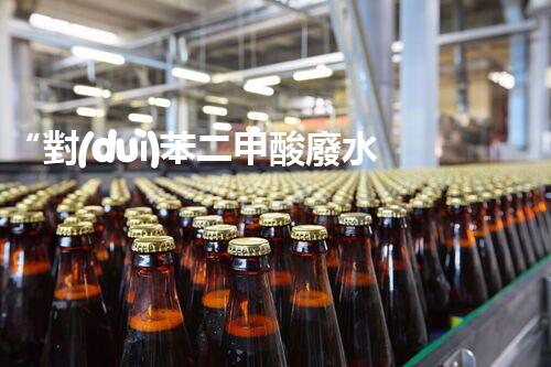 “對(duì)苯二甲酸廢水處理，綠色創(chuàng)新引領(lǐng)環(huán)保新篇章”